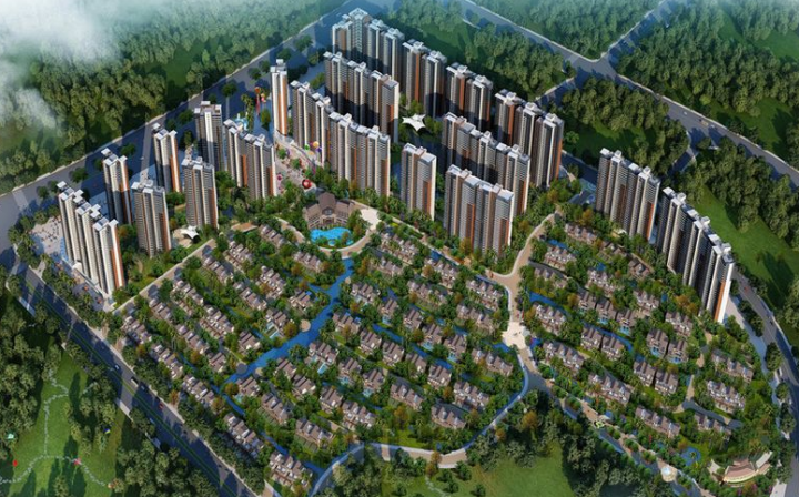 實(shí)地常青藤2